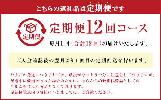 【定期便 年12回】球磨球子 40個入×12回 鶏卵 卵 玉子 たまご くまたまご（破損保証有り）