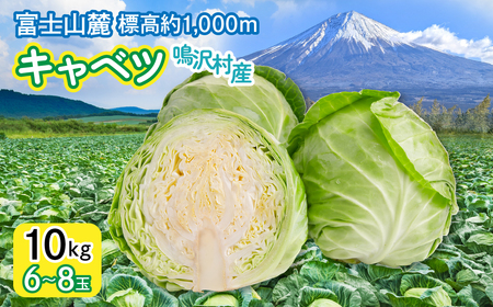 キャベツ　10㎏　（６～８玉） ふるさと納税 キャベツ 新鮮 美味しい シャキシャキ 野菜 山梨県 鳴沢村 送料無料 NSAK005