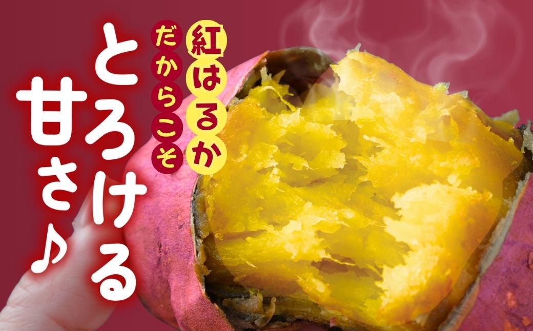 【訳あり】ゆうゆう農園の焼き芋 冷凍 2kg | 焼芋 焼いも やきいも さつまいも サツマイモ ねっとり スイーツ おやつ ゆうゆう農園 茨城県 龍ケ崎市
