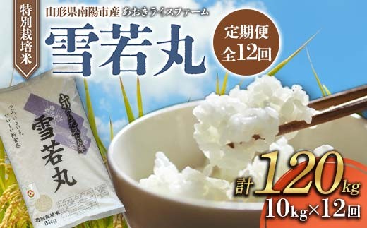 
                  【金賞受賞農家】 《定期便12回》 令和7年産 特別栽培米 雪若丸 計10kg(5kg×2袋)×12か月 『あおきライスファーム』 山形南陽産 米 白米 精米 ご飯 農家直送 山形県 南陽市 [2668]
                