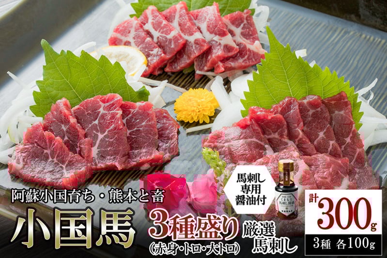 
            【阿蘇牧場】レビューキャンペーン 対象品 熊本と畜 小国育ち 小国馬 地元産 馬刺し 阿蘇 熊本 小国 国産 阿蘇の大地 放牧馬 赤身 霜降り トロ 大トロ 各100g 小分け 馬肉 300g 馬刺し醤油 150ml 専用醤油 七福醤油店 タレ付き 真空パック 老舗専門店 ギフト 贈答用
          