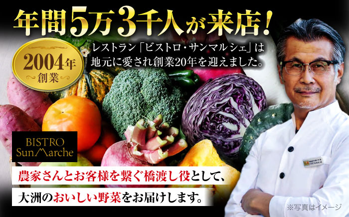 【全6回定期便】【シェフの目線】栽培期間中農薬不使用！大満足 旬のお野菜セット　愛媛県大洲市/有限会社ヒロファミリーフーズ [AGBX004]野菜 サラダ カレー 農業 トマト 料理  きゅうり 鍋 