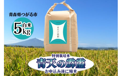 青天の霹靂 (特別栽培米) 白米5kg 令和5年産 青森県産米 [お申込み後に精米]｜2023年産 つがる市 お米 米 こめ へきれき [0361]