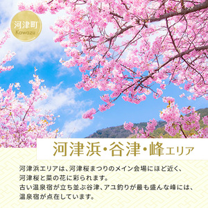 宿泊券 たっぷり河津旅 30,000円分 宿泊補助券 ホテル 旅館 温泉宿 高級宿 旅行券