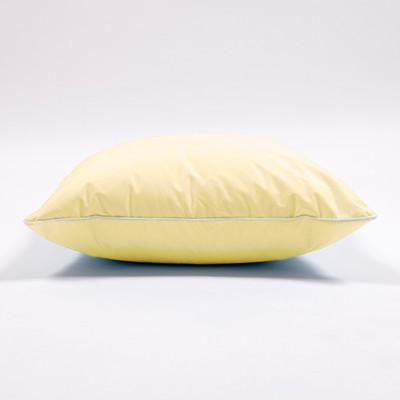 ふるさと納税 西郷村 羽毛たっぷりで快適おうち時間!フェザークッション45(45cm角) |  | 01