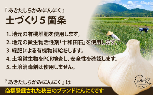 あきたしらかみにんにく 冷凍ペースト 1kg（約200g×5袋）　60P3218【(株)gella】