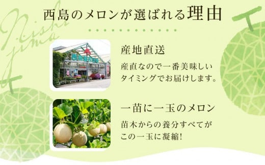 高知県南国市産／厳選桐箱入りマスクメロン（2個）【メロン フルーツ くだもの デザート 高評価 厳選 高級 ギフト 贈り物 人気 おすすめ】【メロン マスクメロン フルーツ 果物 くだもの 食品 デザ