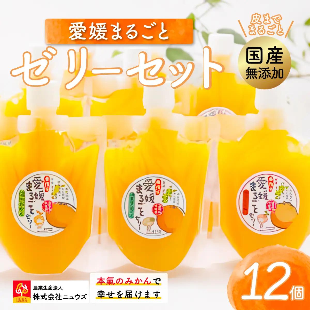 【皮までまるごと国産無添加】愛媛まるごとゼリーセット（12個） IKTF012