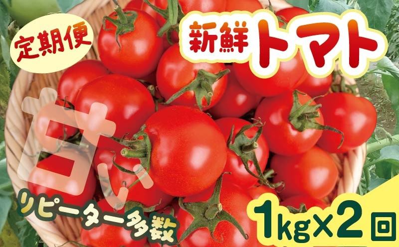 
            【2025年10月下旬より発送】安田町産新鮮トマト 1kg 定期便 2回発送 早期予約 2ヶ月 定期便 トマト 1kg 新鮮 野菜 旬 とまと 夏野菜 期間限定 季節限定 先行予約 ふるさと納税 人気 高知 安田町 TR-05
          