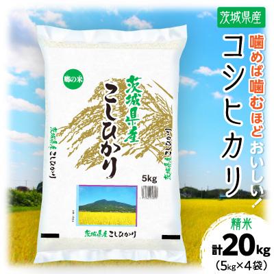 ふるさと納税 土浦市 【令和7年産】 茨城県産 コシヒカリ 精米 合計20kg (5kg×4袋) 茨城のおいしい お米