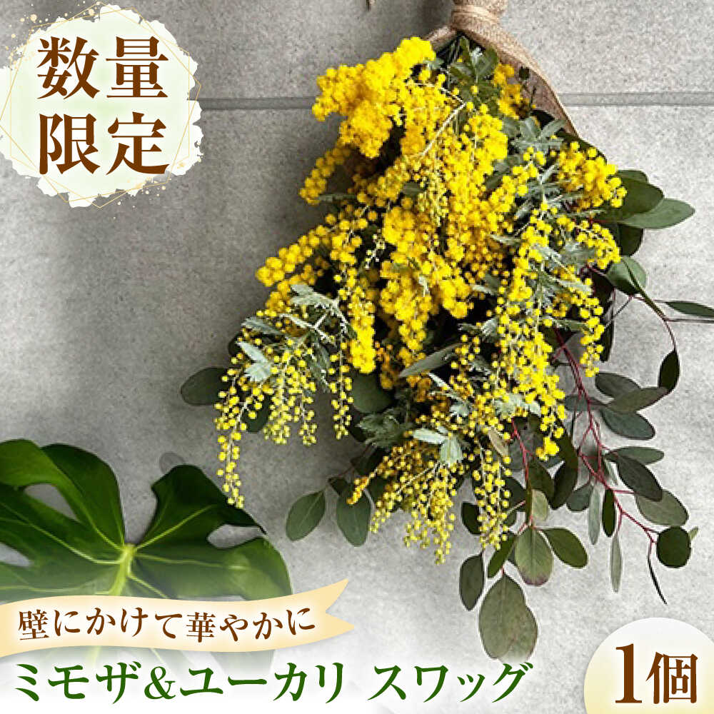 【ふるさと納税】雑貨 ユーカリとミモザのスワッグ【3月下旬から4月上旬順次発送】 / ミモザ ユーカリ スワッグ ドライフラワー ブーケ 花束 花飾り インテリア雑貨 大阪府 / 大阪府藤井寺市/JamFlowerSalon[BLAW001]