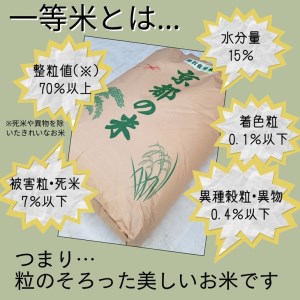 【寄附額改定】【令和7年産】玄米 きぬひかり 玄米 30kg