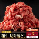 【ふるさと納税】【全3回定期便】長崎県産 和牛 切り落とし 1kg(500g×2パック) 【合同会社肉のマルシン】[QBN037]