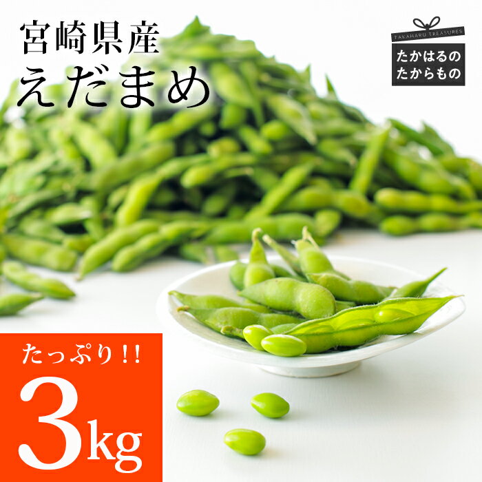 【ふるさと納税】宮崎県産えだまめ 3kg(500g×6袋) 自社農園からの獲れたてをその日に加工 旨みと甘みたっぷり 宮崎県高原町 安全・安心 新鮮 枝豆 茶豆 おつまみ 故郷納税 晩酌 ビール お酒 ホームパーティー 居酒屋 ストック 送料無料 冷凍 国産 九州産 10000円 1万円