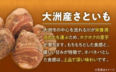里芋（L-2Lサイズ）4kg  里芋 さといも 野菜【9月上旬より順次発送】[AGBN003]