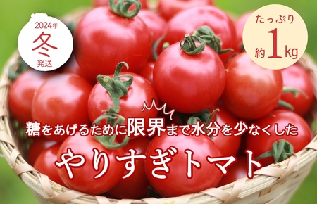 トマト農家のこだわり高糖度トマト「やりすぎトマト」【先行予約】やりすぎトマト（4パック計約1kg）（冬季）（2025年12月上旬以降発送）　トマトスープやトマト料理に