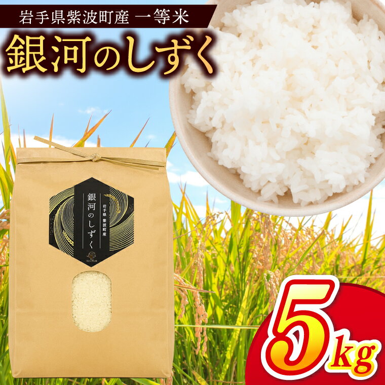 【ふるさと納税】 ＼数量限定／ 銀河のしずく 精米 5kg 米 お米 コメ 精米 白米 岩手県紫波町 (EN001)