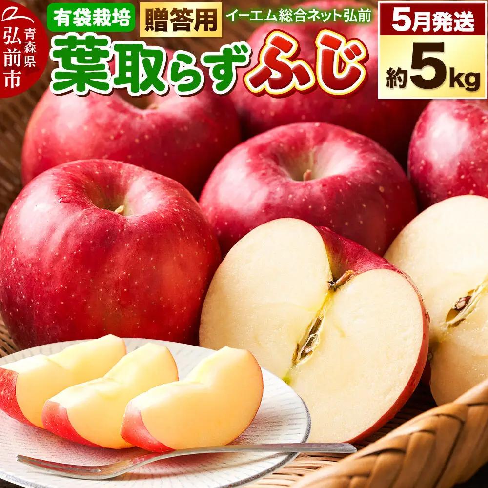 【27年5月クール便発送】りんご 葉取らず ふじ【贈答用】約5kg【有袋栽培・CA貯蔵】EMりんご 林檎 リンゴ 果物 くだもの フルーツ 青森県 弘前市 贈り物 ギフト