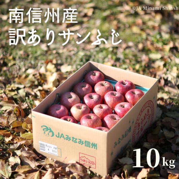 【ふるさと納税】南信州産 訳ありサンふじ 約10kg／11月下旬～12月中旬ごろ発送 長野県産 訳あり 家庭用 りんご サンフジ さんふじ