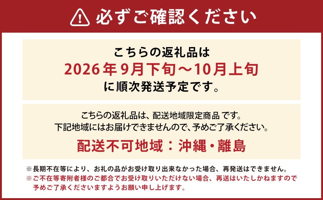 シャインマスカット 秀2～4房