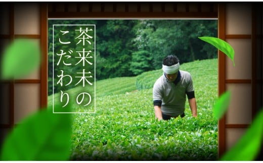 「茶匠」最高金賞 60g 3本詰合わせ 茶さじ セット お茶 贈り物 ギフト
