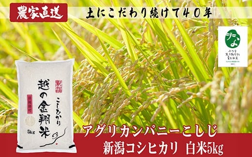 J8-7C051A【越の金翔米】新潟県長岡産コシヒカリ5kg【「小さな生き物たちと育むお米」認証品】