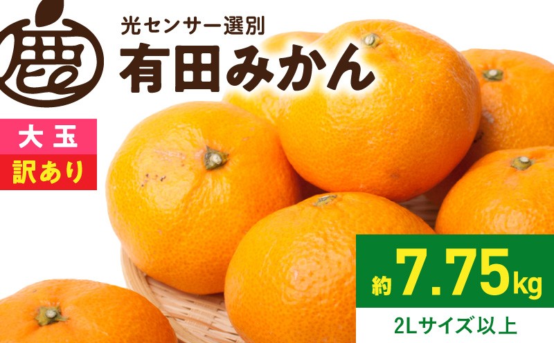 
                  家庭用 訳あり 有田みかん 約 7.5kg サイズ混合 傷み補償 250g 果汁 濃縮 濃厚 光センサー選果 農家直送 大玉 みかん フルーツ 果物 柑橘 お取り寄せ 和歌山県 湯浅町 送料無料 _ZH7118
                