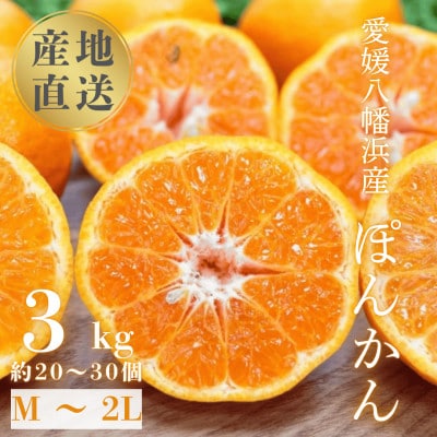 【南国を感じさせる独特の香り】愛媛ポンカン 3kg【C20−60】【1620341】