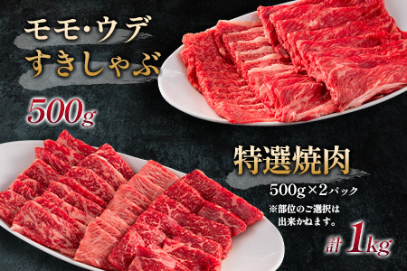 赤身主体の黒毛和牛＜都萬牛＞部位厳選の特選セット【F112】