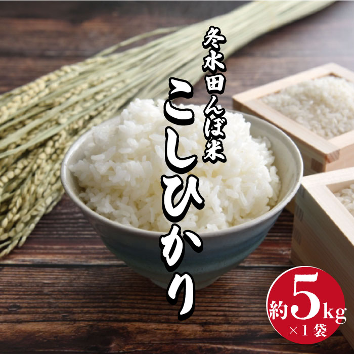 V-13 【令和5年度産】冬水田んぼ米 コシヒカリ5kg