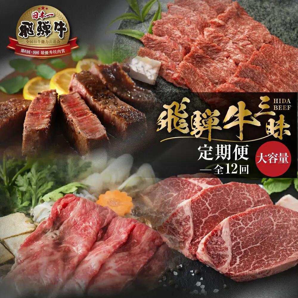 大容量 《まるごと定期便》12回 飛騨牛三昧 大容量 [S600]