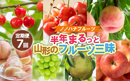 【定期便7回】ノノハナフルーツ 半年まるっと山形のフルーツ三昧 【令和8年産先行予約】FS25-076