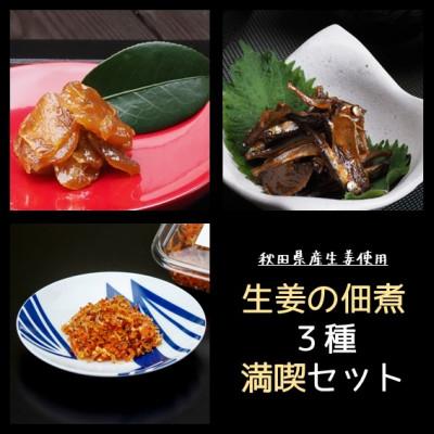 ふるさと納税 潟上市 【秋田県産生姜使用】生姜の佃煮シリーズ!3種満喫セット
