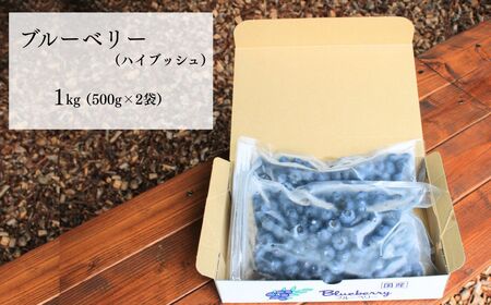 冷凍 ブルーベリー ハイブッシュ 1kg | 冷凍 ブルーベリー 栃木県 茂木町