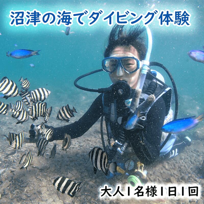 【ふるさと納税】 ダイビング 体験 チケット 大人 1名 1回 沼津 伊豆半島 アクティビティ マリンスポーツ スキューバダイビング 海 大瀬崎 平沢 獅子浜 井田 体験 ダイビング 初心者 魚 珊瑚 観光 レジャー 夏休み 沼津市 静岡県