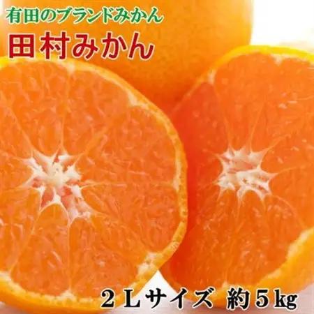 【ブランドみかん】田村みかん約5kg(2Lサイズ・秀品)【日高町】【1218083】