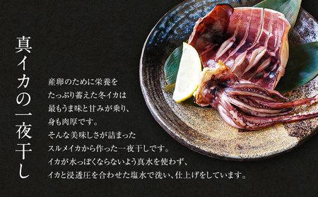【2026年4月下旬発送】訳あり 漁師町鹿部のイカ尽くしセット 全5品いか イカ 詰め合わせ セット 期間限定