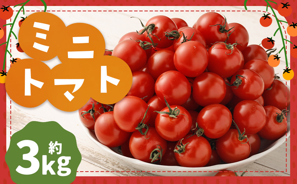 
            ミニトマト (3kg) トマト
          