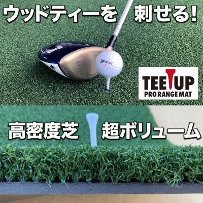 ふるさと納税 高知市 ウッドティーを刺せる ゴルフ練習マット ティーアッププロレンジマット150×100cm【AG095】 |  | 01