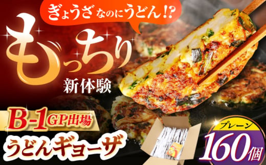 高槻うどんギョーザふるさとギフト 【プレーン＆カレー 160個】 餃子 ぎょうざ ギョーザ うどん 焼きうどん お好み焼き 大阪府高槻市/高槻うどんギョーザの会 [AOAU005]