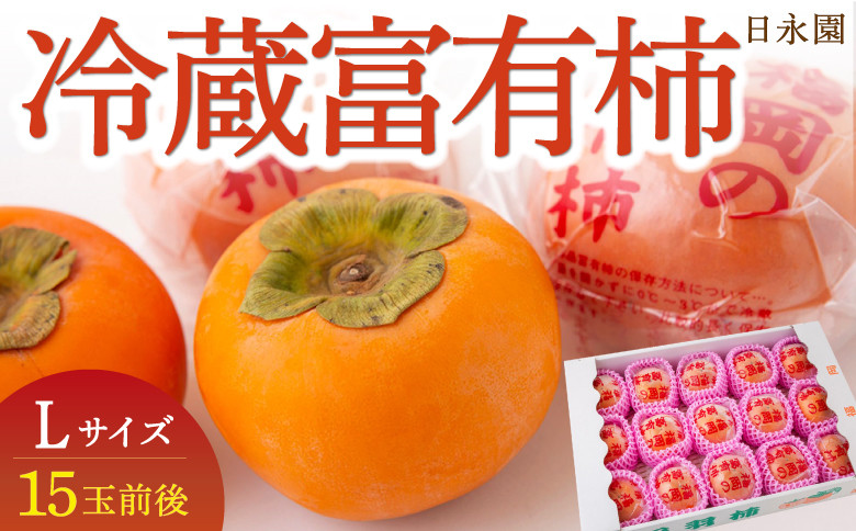 
            日永園 冷蔵富有柿 Lサイズ 15玉前後 【2025年12月上旬から2026年2月下旬出荷予定】 柿 フルーツ 果物
          