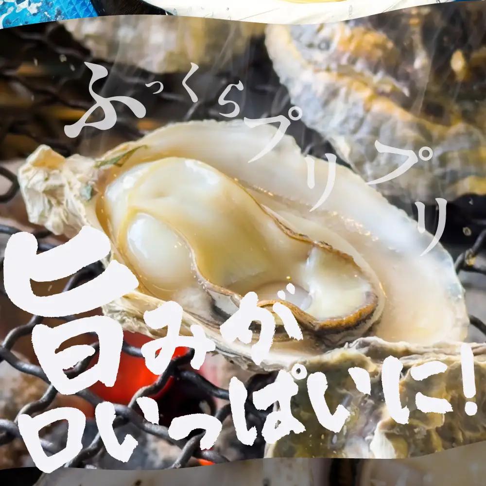 【数量限定】殻付き 生牡蠣（加熱用）1kg 軍手・牡蠣ナイフ付