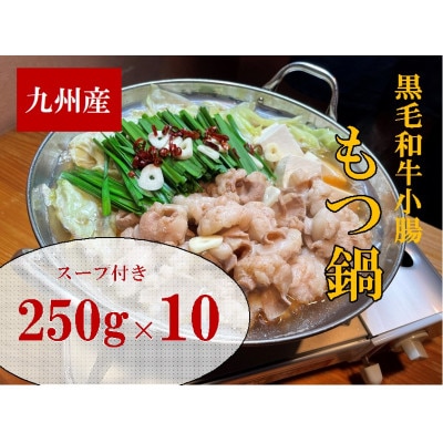 【2.5kg】九州産ぷりぷりの小腸「割烹　もつ鍋セット」(250g×10セット)(岡垣町)【配送不可地域：離島】【1301459】
