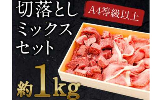 
宮崎黒毛和牛＜JAこゆ牛＞切り落としミックスセット1kg【B30】
