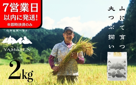 即納【令和7年産米】すがたらいす 山仙 (いのちの壱) 2kg×1袋 すがたらいす 下呂市金山産 2キロ 米 2025年産 お米 精米 米 いのちのいち やません【51-27】