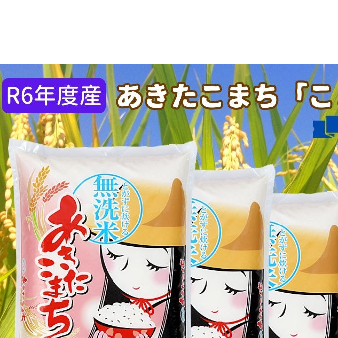 定期便 R6年度産  『こまち娘』あきたこまち 無洗米 20kg  5kg×4袋3ヶ月連続発送（合計60kg）吉運商店 秋田県 男鹿市