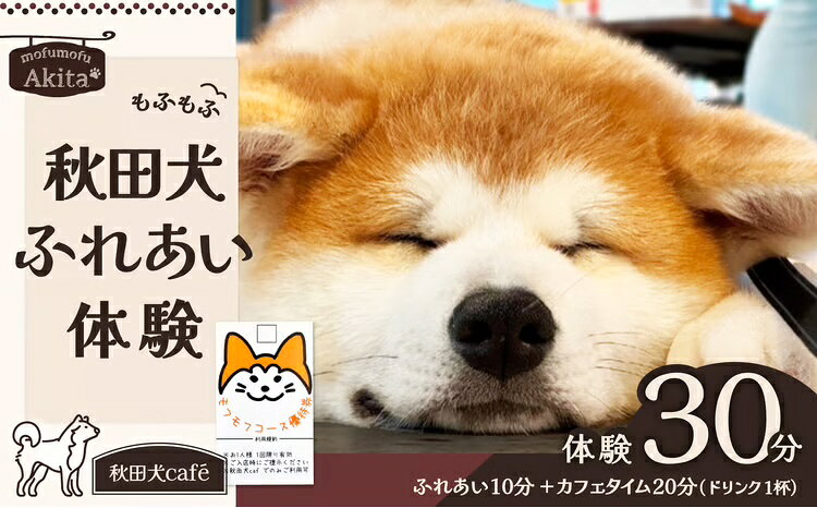 【ふるさと納税】[秋田犬cafe]もふもふ秋田犬ふれあい体験30分 大人（中学生以上） 1名様（ふれあい10分・1ドリンク付） 【55P167001】利用券 体験 東北 秋田県 大館市 株式会社【(株)MofuMofu】