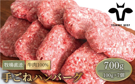 【牧場直送】岩塩と牛肉のみで作った手ごねハンバーグ 100g×7個 【有限会社佐賀セントラル牧場】[IAH015]