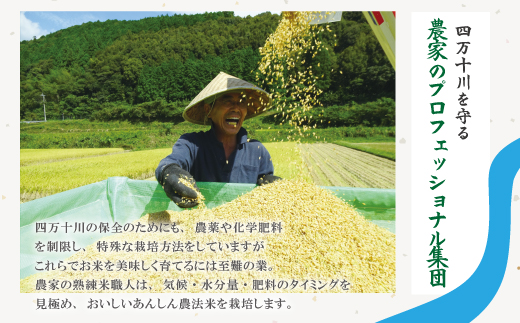 【令和7年産】おいしい・あんしん・しまんとのお米　しまんと農法米（ヒノヒカリ）5kg 国産 ひのひかり 2025年 精米 白米 米 おこめ こめ コメ ご飯 ごはん 四国 高知 四万十 しまんと 農法