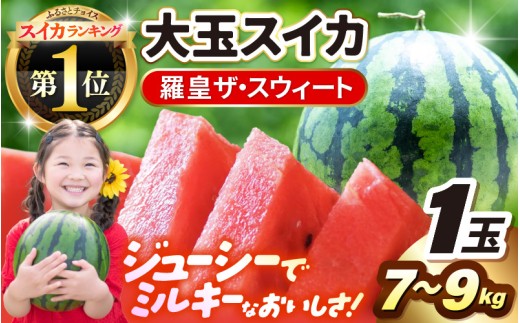 スイカ ランキング1位獲得！ 【先行予約】 坂井市産 大玉スイカ 「羅皇ザスウィート」 1玉入り 7～9kg (大玉) 【2027年7月中旬以降順次発送予定】【スイカ 西瓜 すいか デザート 果物 くだもの 夏 甘い ジューシー 旬の果物 産地直送】 [A-16210]